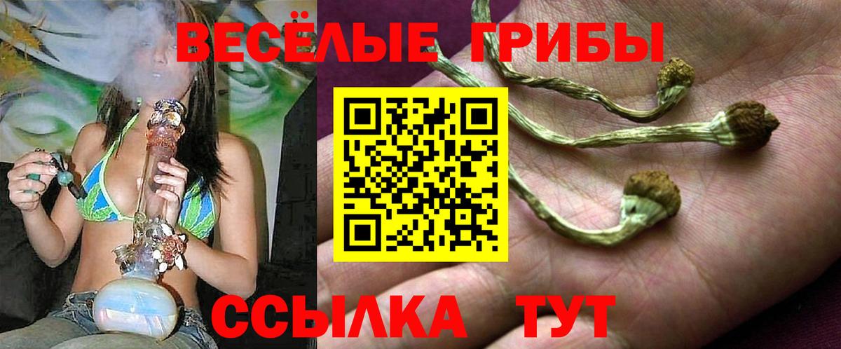 Псилоцибиновые грибы ЛСД  Вход с VPN  Псилоцибиновые грибы Psilocybine cubensis  Юрга 
